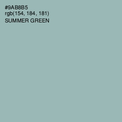 #9AB8B5 - Summer Green Color Image